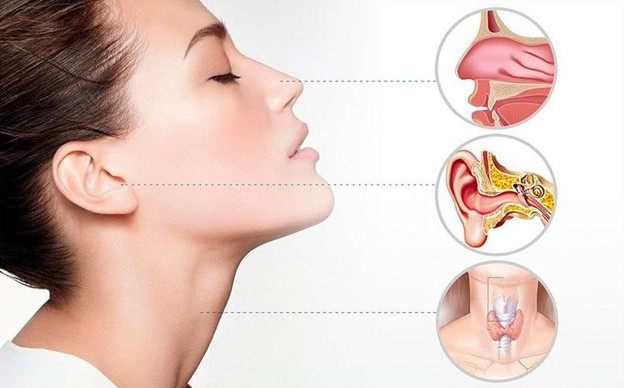 ENT Clinic vs General ENT Clinic What’s the Difference in Singapore